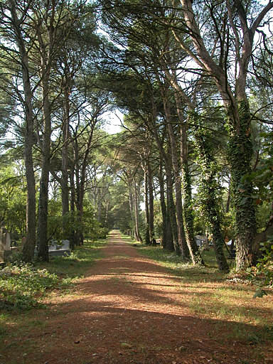 Allée du cimetière.