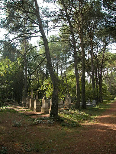 Allée du cimetière.