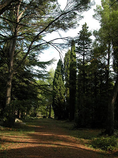 Allée du cimetière.