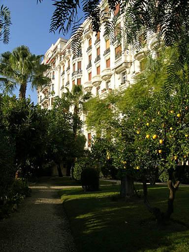 Façade sud et une allée du parc, détail sur couvert végétal : parterres de gazon et orangers.