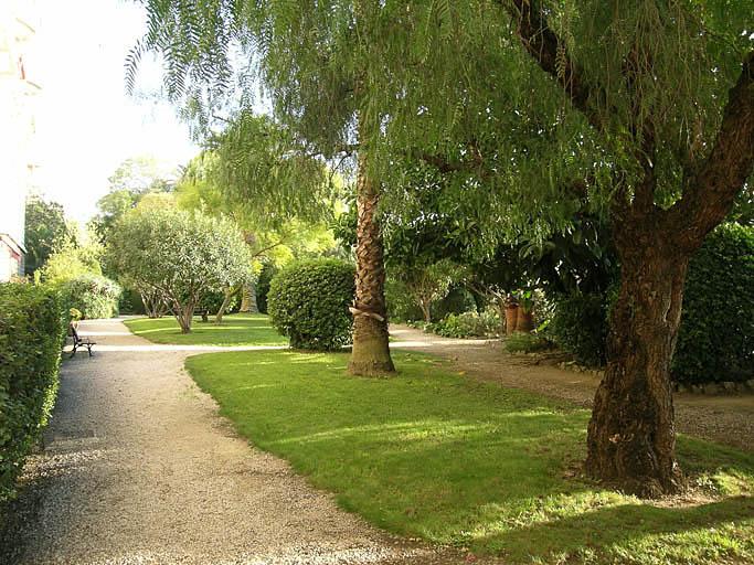 Parc, détail sur couvert végétal.