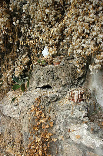 Vue intérieure de la serre, détail de la rocaille.