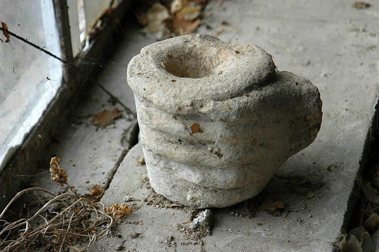 Vue dans la serre d'un détail d'une main d'un triton.