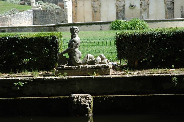 Vue du triton à la coquille.