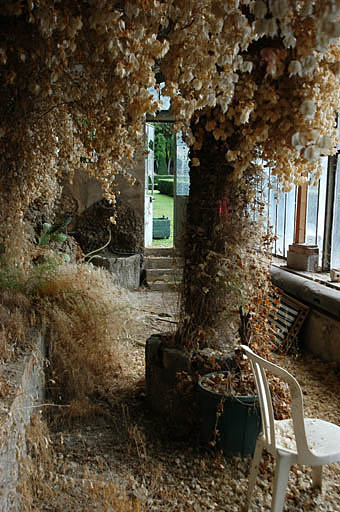 Vue intérieure de la serre, détail.