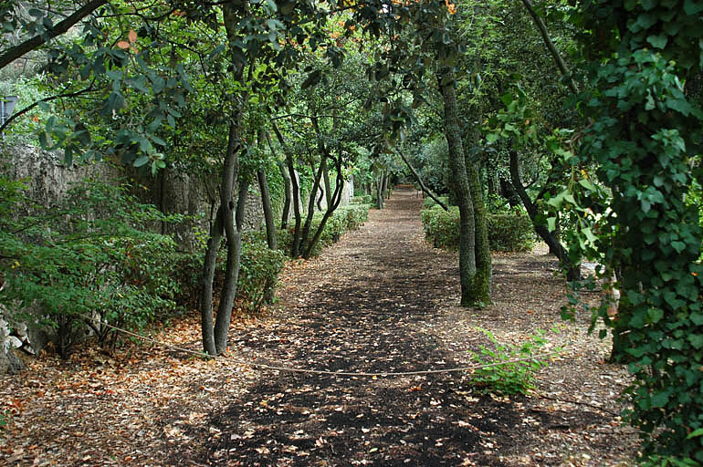 Vue d'une allée latérale au-dessus de la terrasse des parterres.