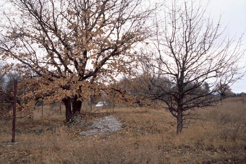 Vue générale, site.