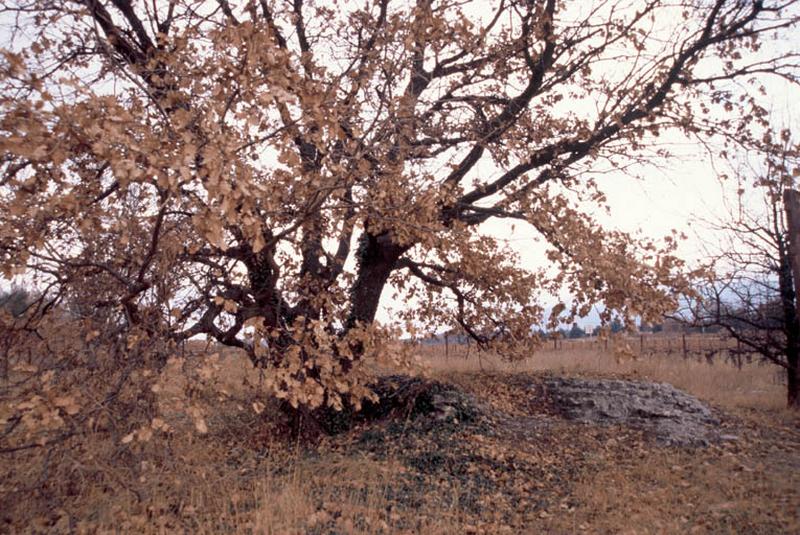 Vue générale, site.