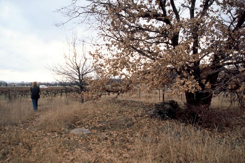 Vue générale, site.