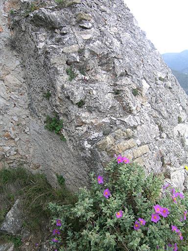 Ouverture de la face antérieure sud-est, maçonnerie de droite.