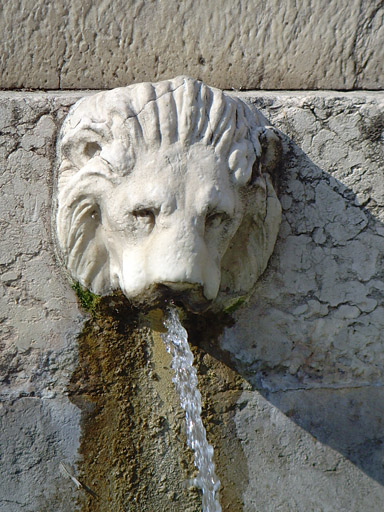 Vue de la fontaine, détail d'un masque.
