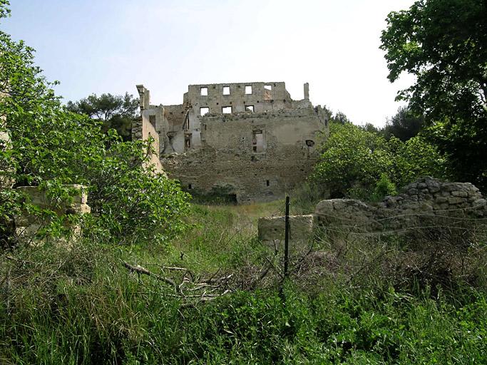 Vue générale des ruines.