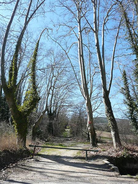 Allée conduisant vers les communs, au jord du parc clos.