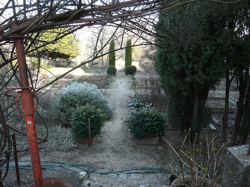 Jardin potager, vue vers l'est.