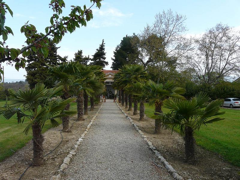 Partie Ouest du parc, allée bordée de palmiers conduisant à la serre.