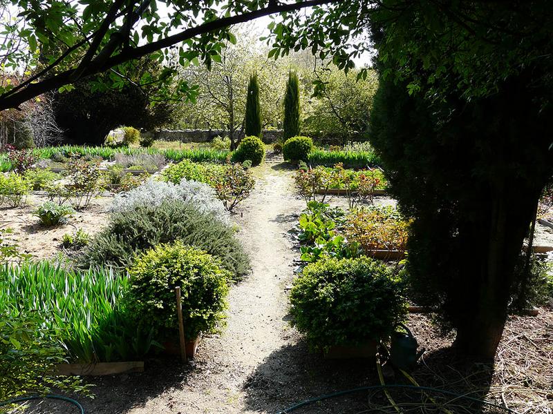 Jardin potager, vue vers l'est.