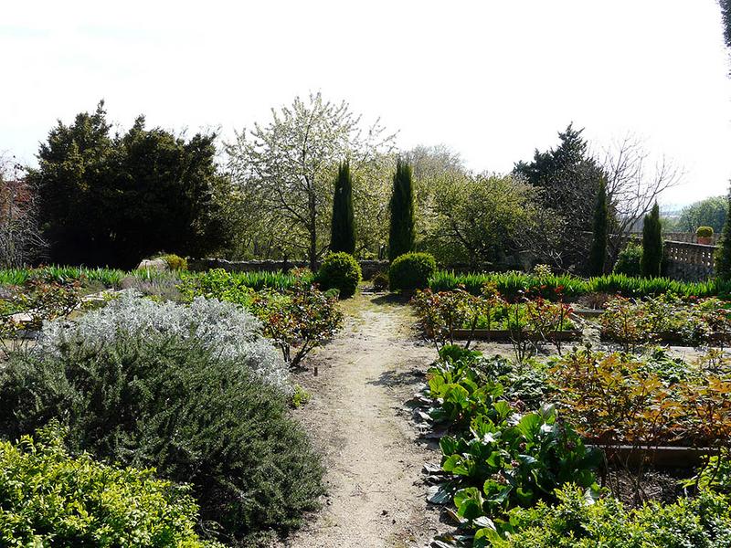 Jardin potager, vue vers l'est.