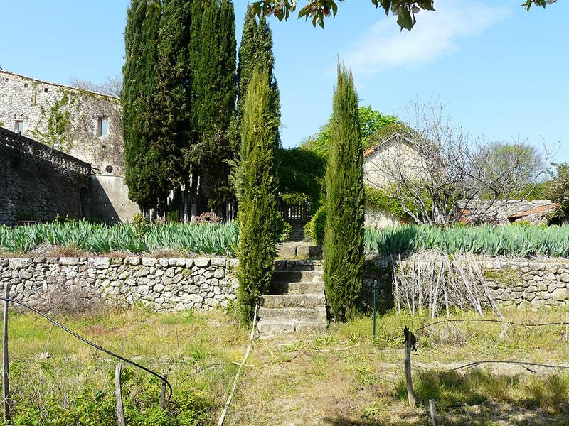 Le jardin potager, vue depuis la partie inférieure Est.