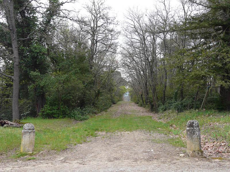 Allée cavalière, vue depuis l'avenue d'accès vers le sud.