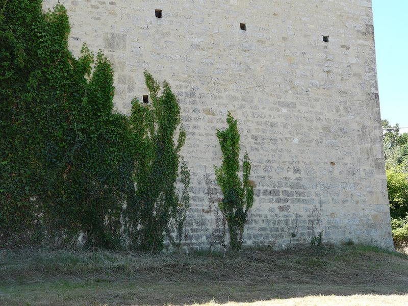 Mur gouttereau nord, détail de la maçonnerie.