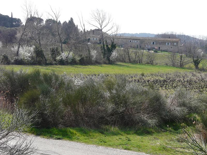 Le domaine vu depuis le bord de l'autoroute.