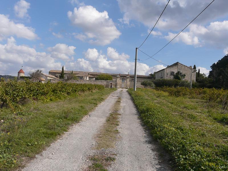 Chemin d'accès au domaine, vue vers l'est.