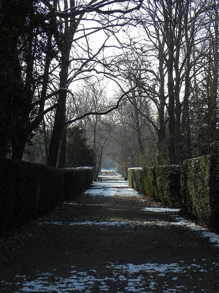 Allée de buis menant au château depuis le sud.