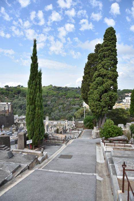 vue partielle du site