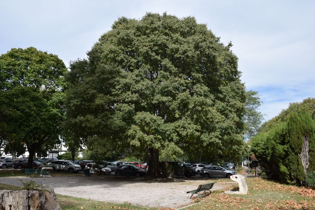 parc, vue partielle