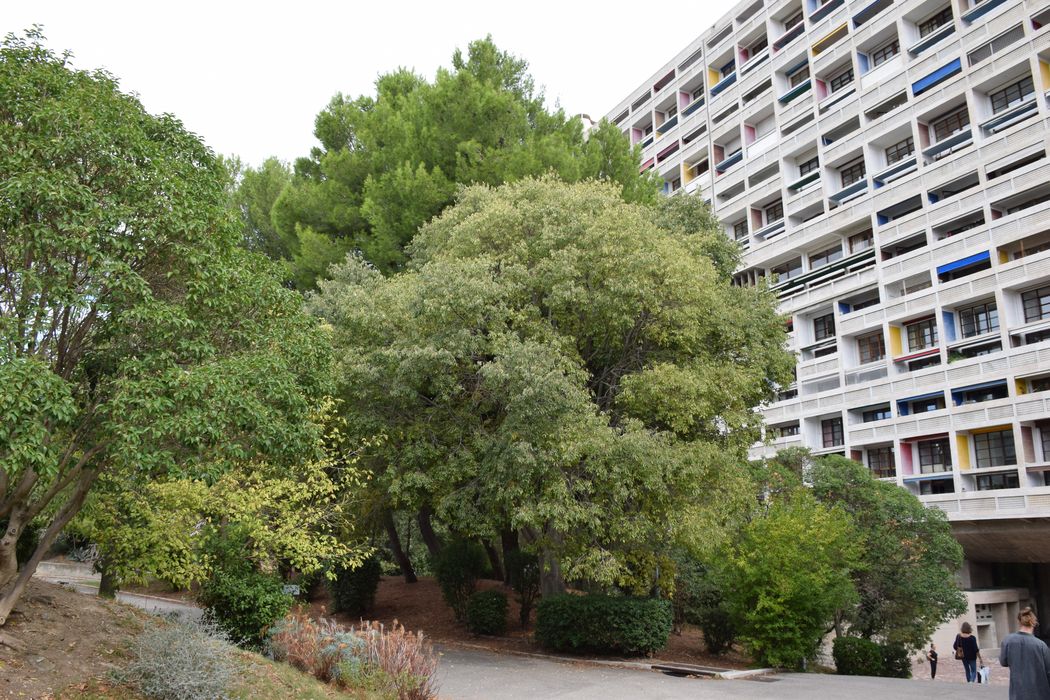 parc, vue partielle