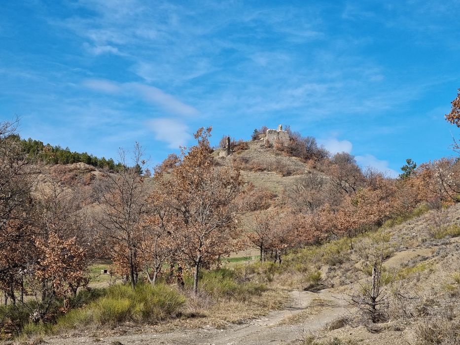 vue générale du site dans son environnement depuis l’Ouest