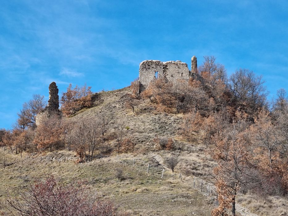 vue générale du site (tour, enceinte et mur d’église)