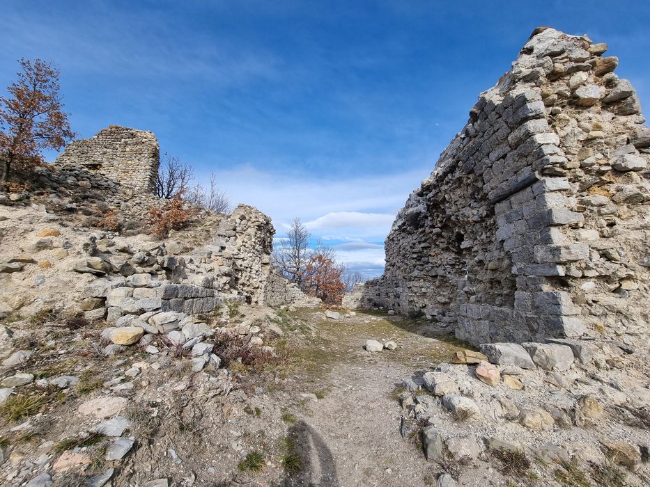 vue partielle des vestiges (chapelle)