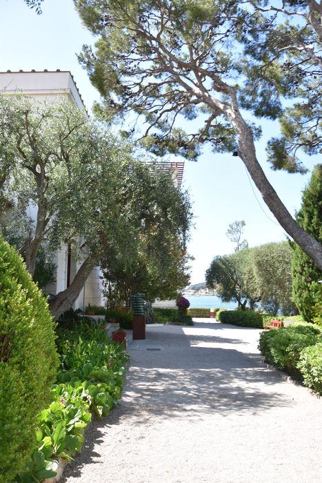 jardin, terrasse ouest
