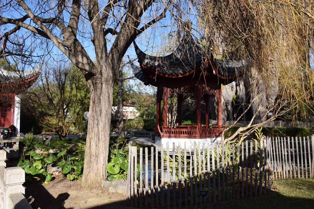 jardin chinois, pagode