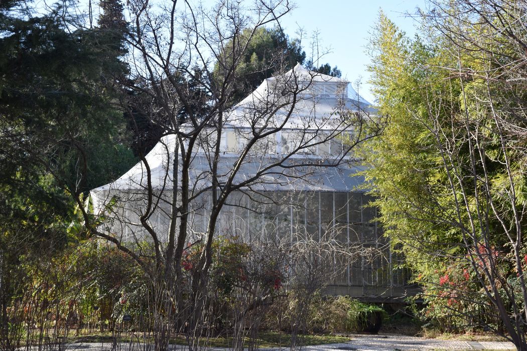 Jardin botanique, serre du parc