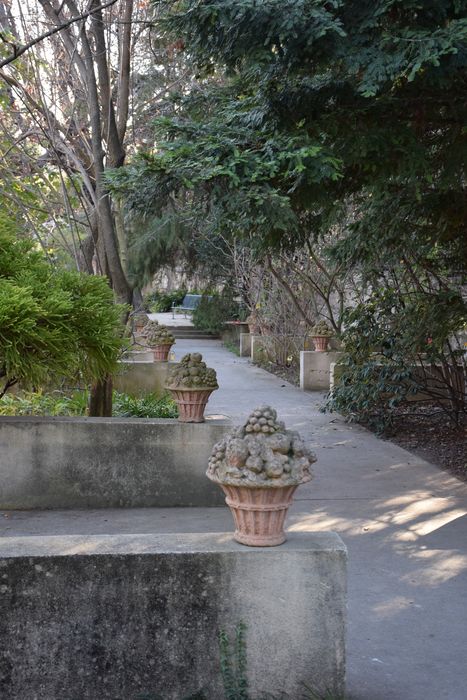 Jardin botanique, vue partielle d’une allée