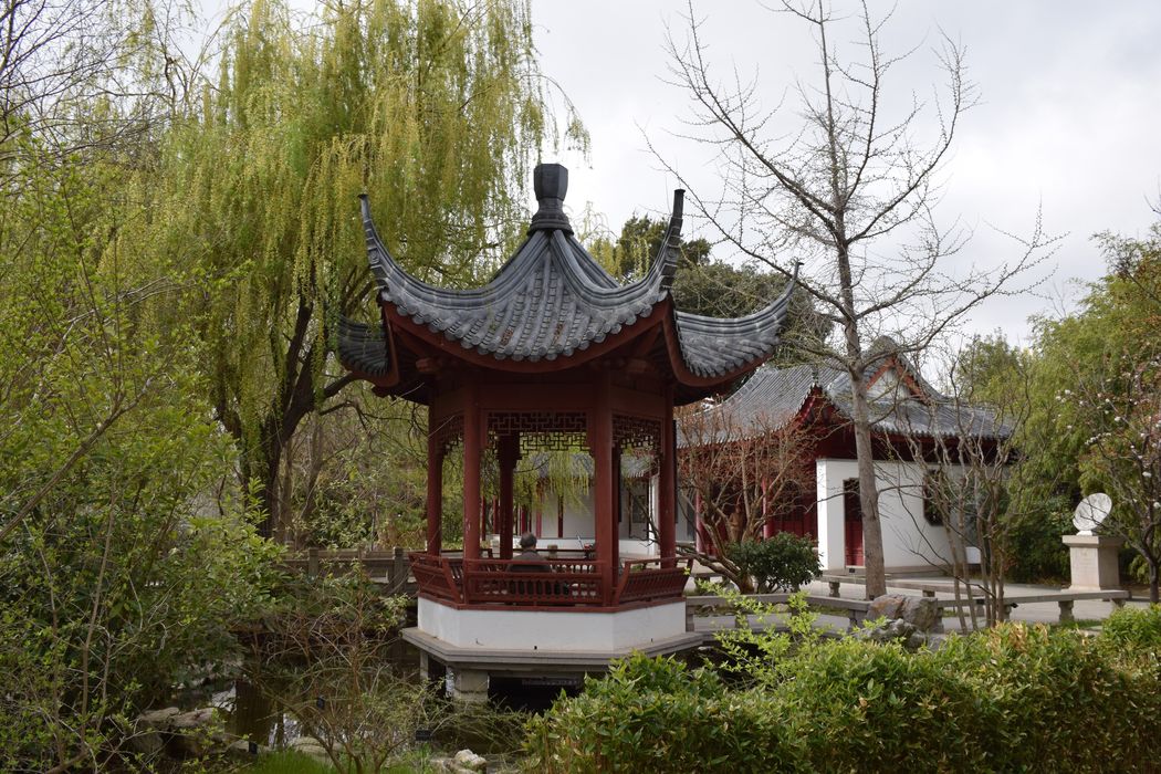 jardin chinois, vue partielle