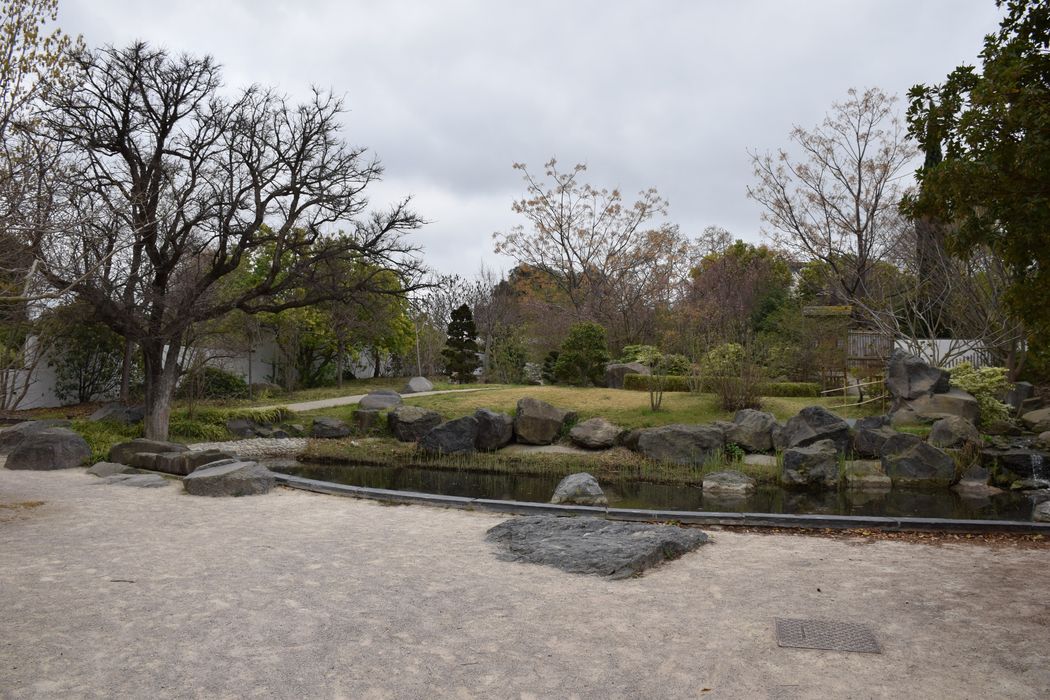 jardin botanique, vue partielle