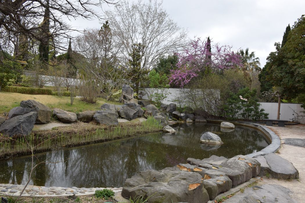 jardin botanique, vue partielle