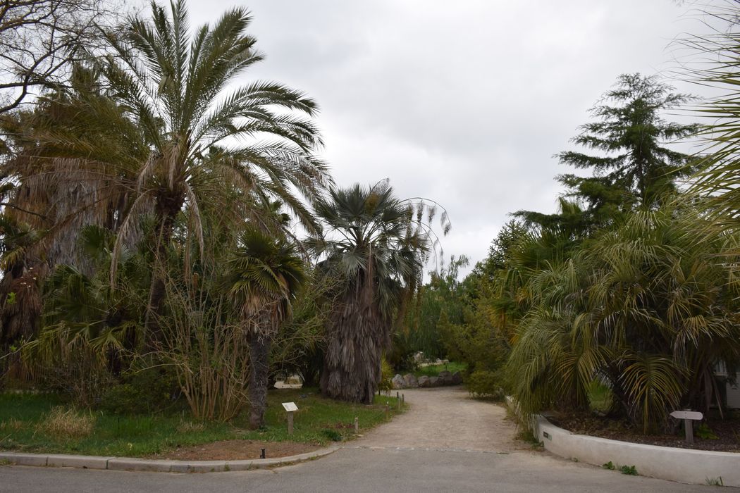 jardin botanique, vue partielle