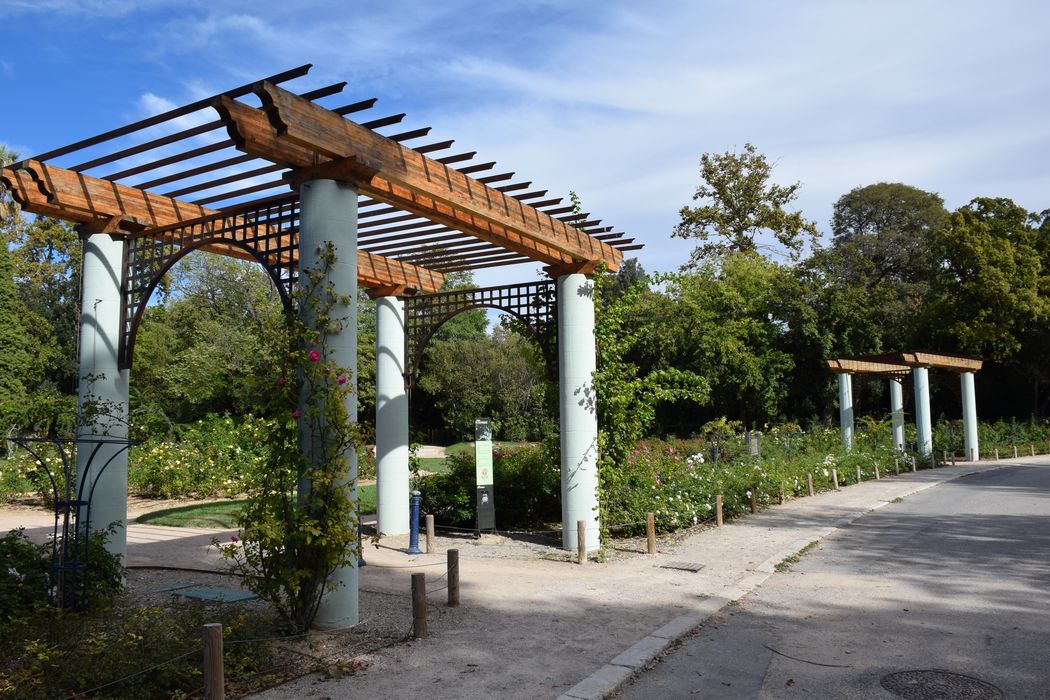 parc, vue partielle