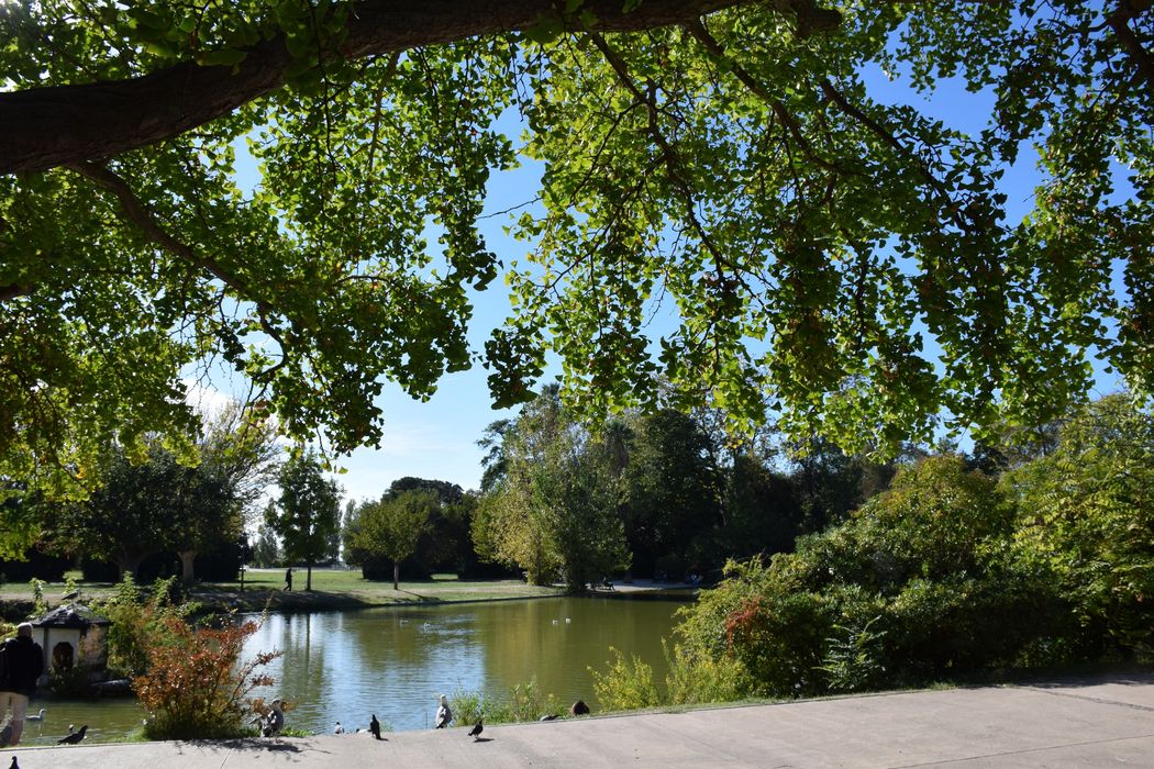 parc, vue partielle