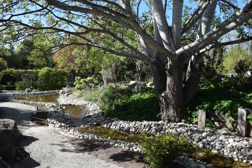 parc, chemin d’eau
