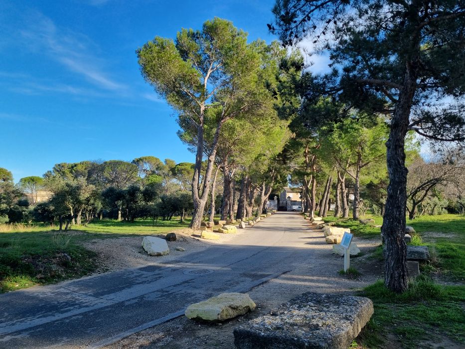 parc, vue partielle