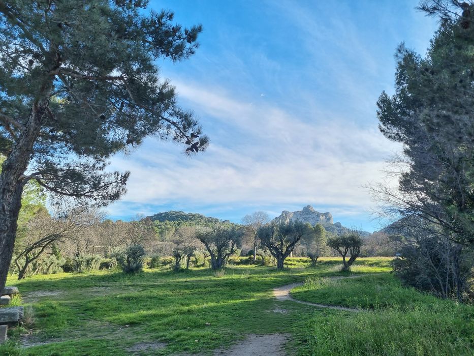 parc, vue partielle