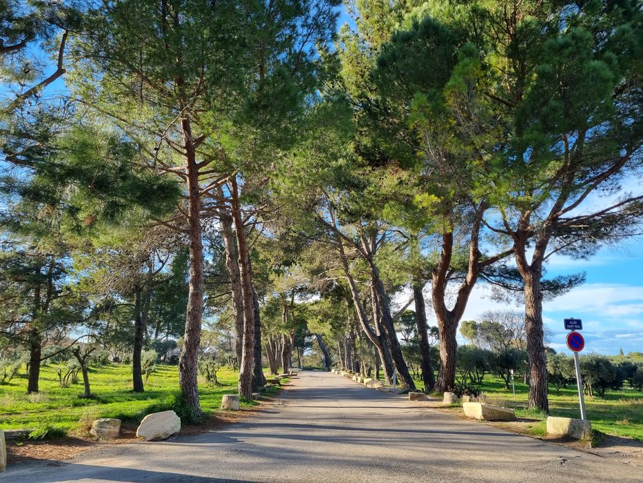 parc, vue partielle