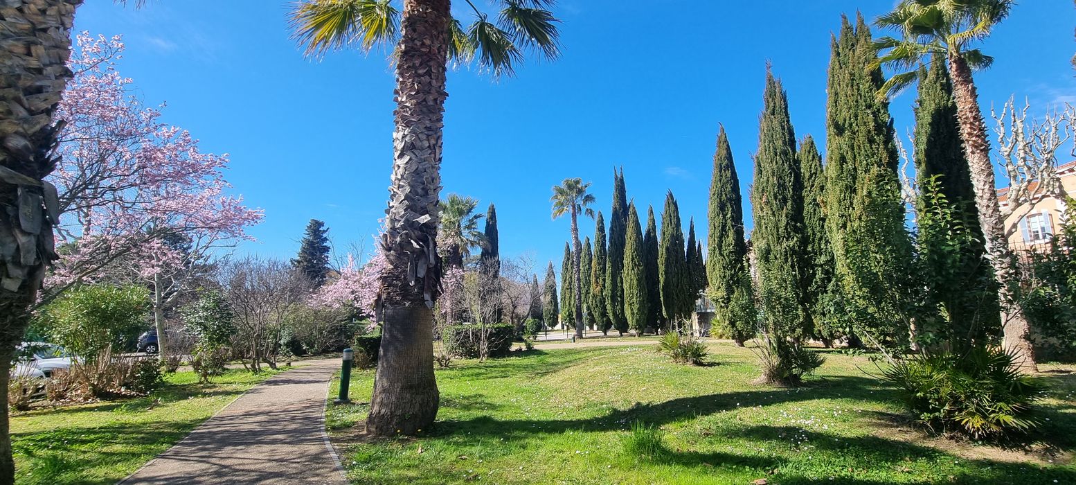 jardin, vue partielle