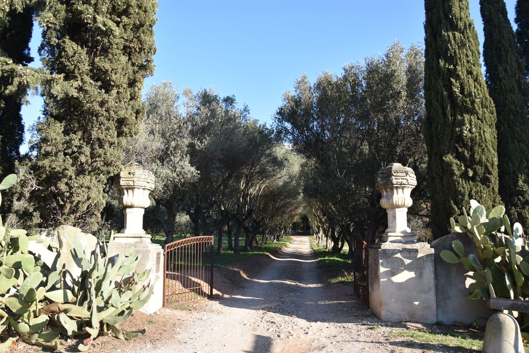 jardin, allée d’accès sud