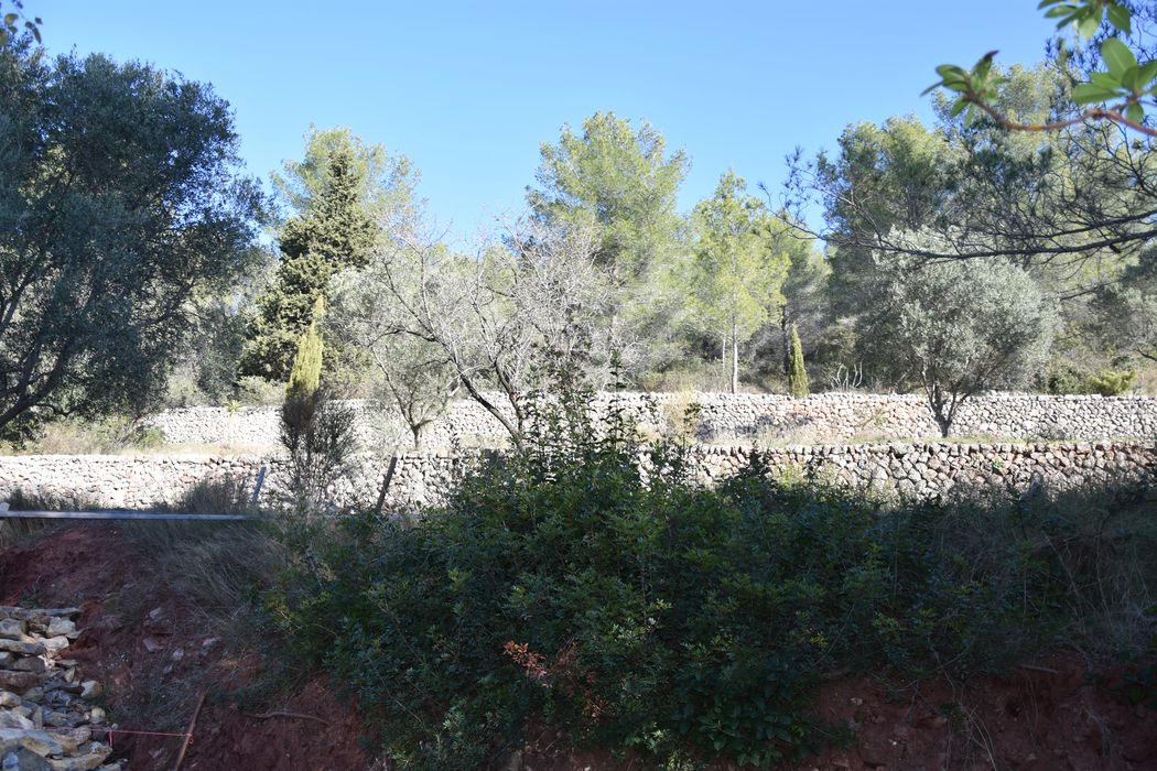 jardin, vue partielle